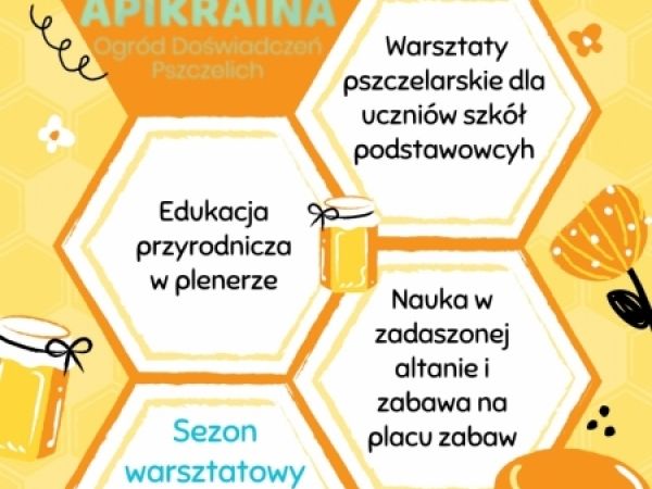 Czy warsztaty z pszczołami są bezpieczne?